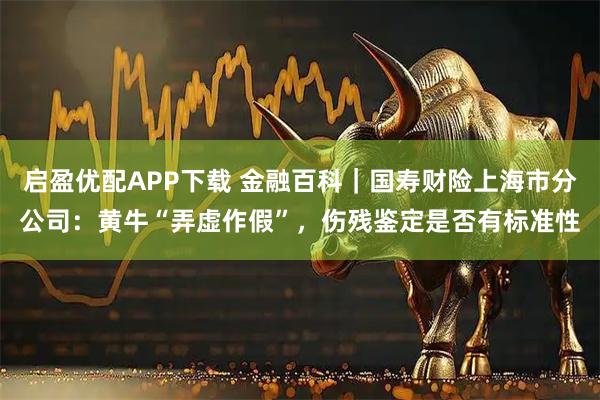 启盈优配APP下载 金融百科｜国寿财险上海市分公司：黄牛“弄虚作假”，伤残鉴定是否有标准性
