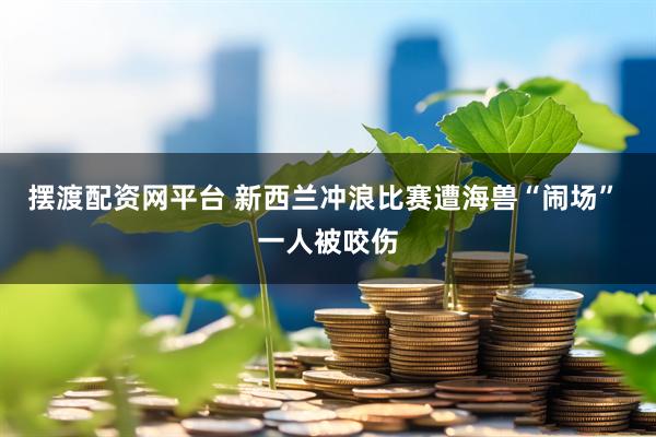 摆渡配资网平台 新西兰冲浪比赛遭海兽“闹场” 一人被咬伤